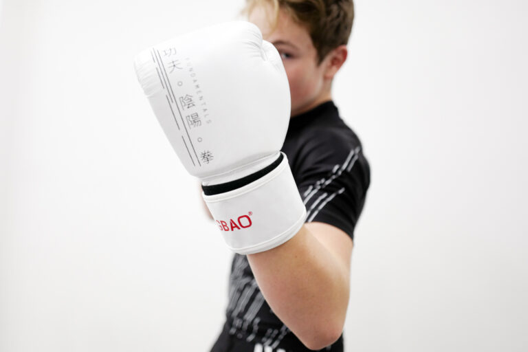 fengbao fundamentals boxhandschuhe 14oz boxing gloves kung fu 1080 shop