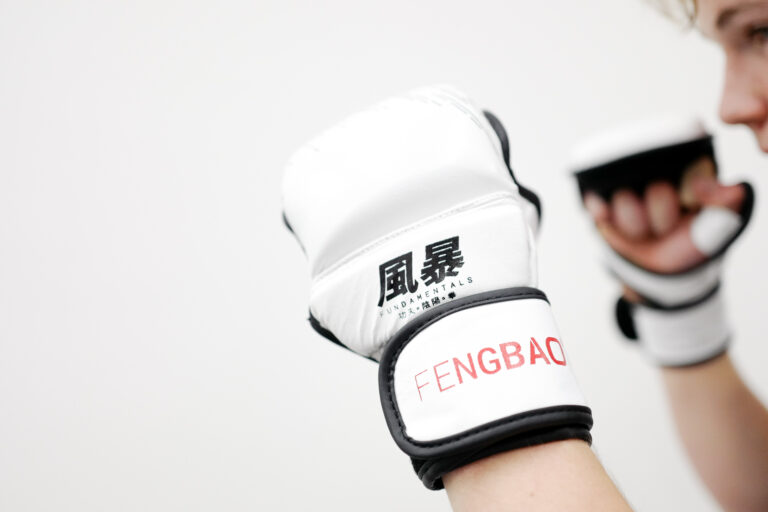 mma handschuhe boxing gloves 1080 wien kampfsport kampfkunst fengbao shop